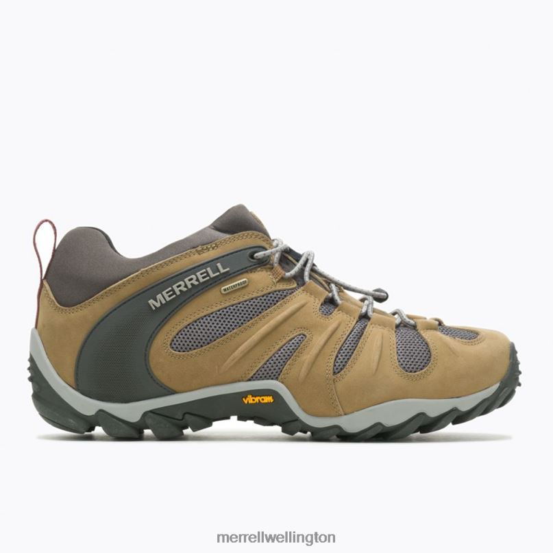 Chameleon 8 Stretch Waterproof (J500017) Merrell Men 8VV6P183 Shoes Butternut - Click Image to Close