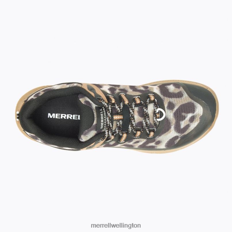 Antora 3 Leopard (J067552) Merrell Women 8VV6P1041 Shoes Sepia Leopard - Image 4