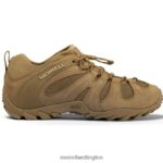 Cham 8 Stretch Tactical (J099407) Merrell Men 8VV6P480 Shoes Coyote