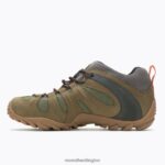 Chameleon 8 Stretch (J033419) Merrell Men 8VV6P282 Shoes Olive - Image 6