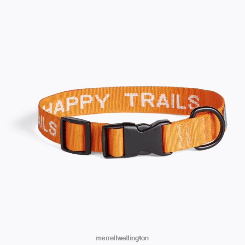 dog_collar_jaf26691_751_merrell_unisex_8vv6p269_accessories_exuberance.jpg Dog Collar (JAF26691-751) Merrell Unisex 8VV6P269 Accessories Exuberance - Image 1
