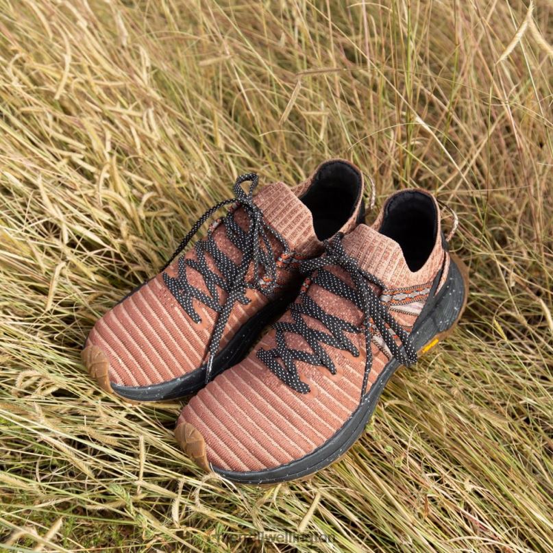 Embark Lace Sneaker X Jordan Ann Craig (J005274) Merrell Women 8VV6P1057 Shoes Tortoise - Image 3
