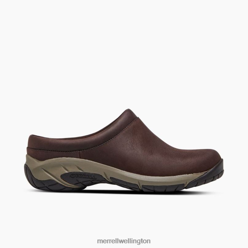 Encore Nova 4 (J002114) Merrell Women 8VV6P1304 Shoes Espresso - Image 2