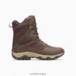 Moab 2 Timber 8'' Thermo Waterproof (J004645) Merrell Men 8VV6P658 Shoes Toffee