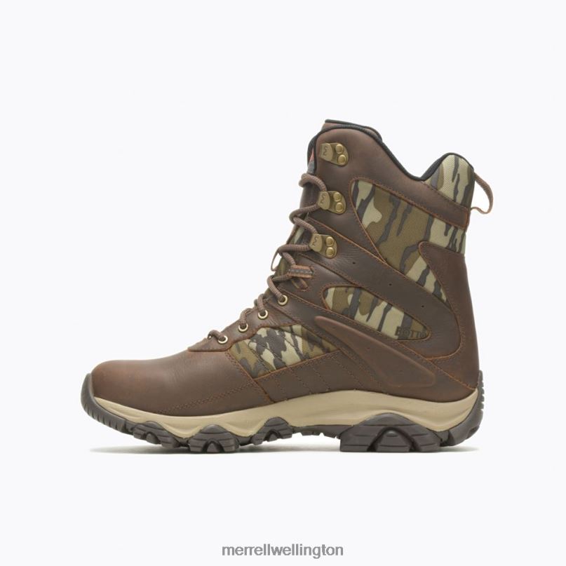 Moab 2 Timber 8'' Waterproof (J004647) Merrell Men 8VV6P636 Shoes Toffee/Oak - Image 6